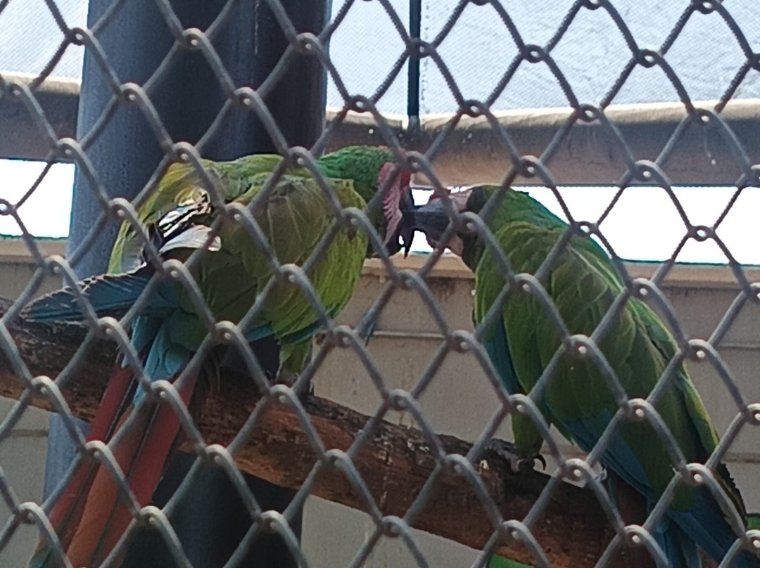 Acuario Michin Guadalajara-瓜达拉哈拉必去景点