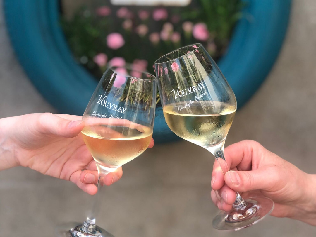 Domaine De Roche Blonde - Christophe Gaudron-Vernou-sur-Brenne必去景点