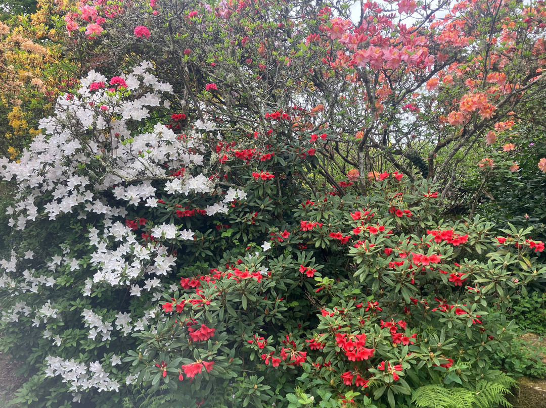 Scotney Castle Garden-Lamberhurst必去景点
