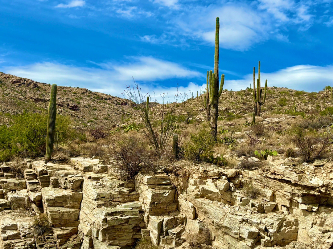 Mt. Lemmon Scenic Byway-图森必去景点