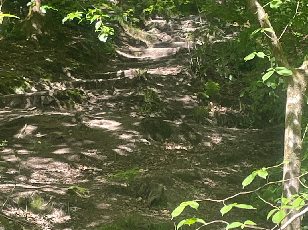 Stock Ghyll Force-安布赛德必去景点