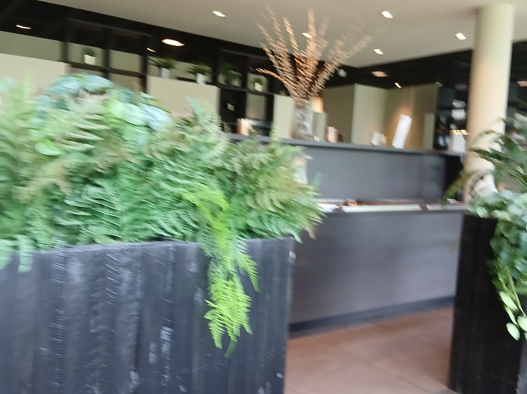 斯坦德公园弗莱彻养生酒店主图