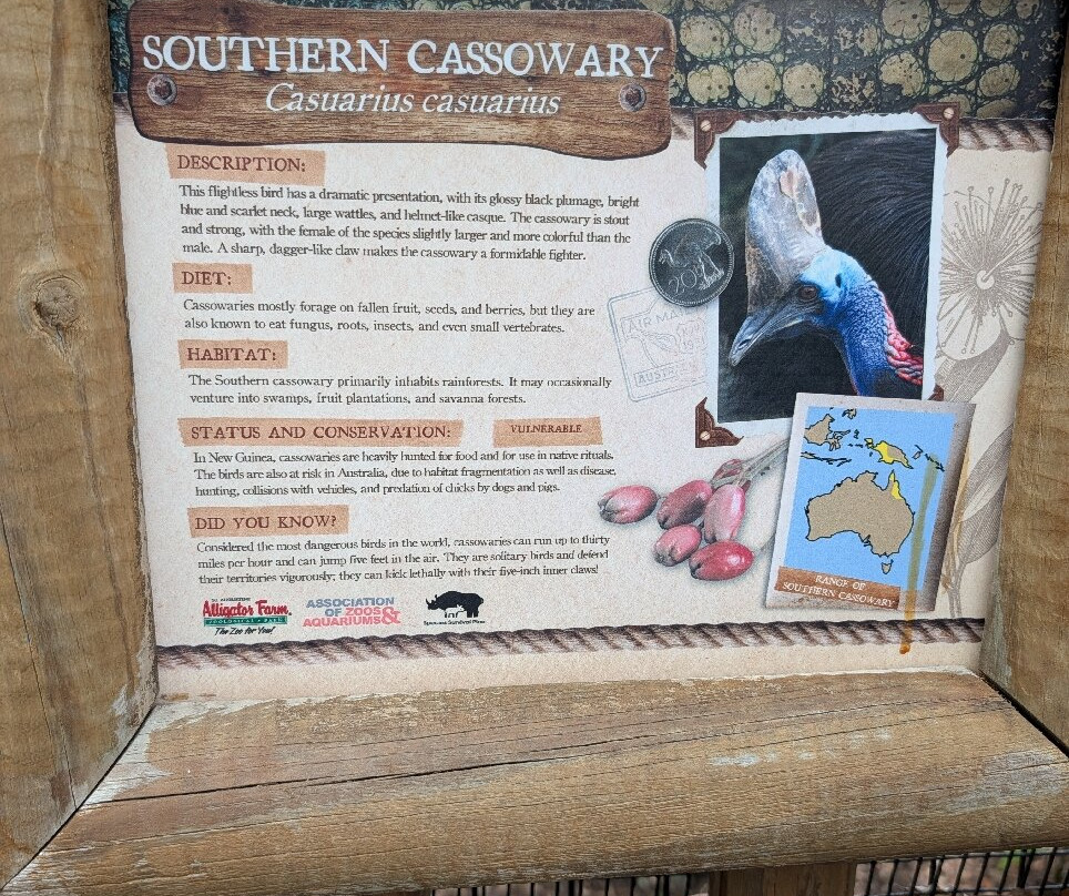 St. Augustine Alligator Farm Zoological Park-圣奥古斯丁必去景点