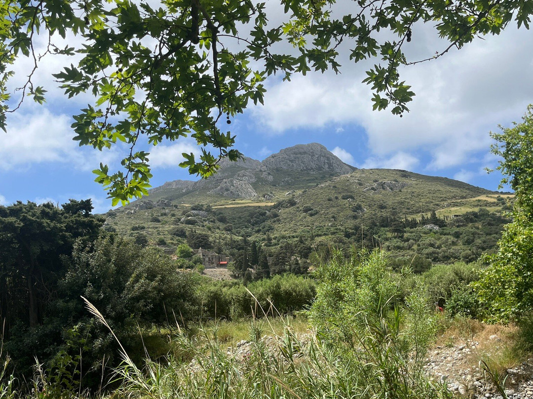 Kourtaliotiko Gorge-Plakias必去景点
