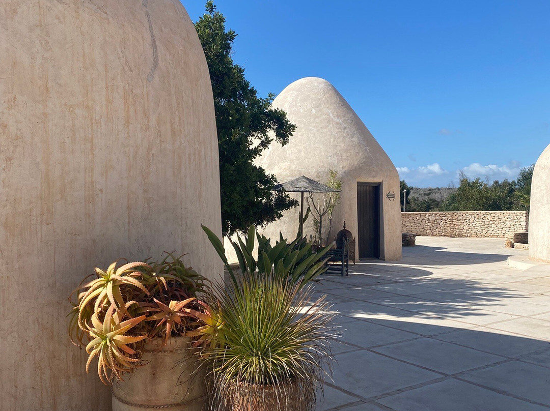 Les Jardins de Villa Maroc主图