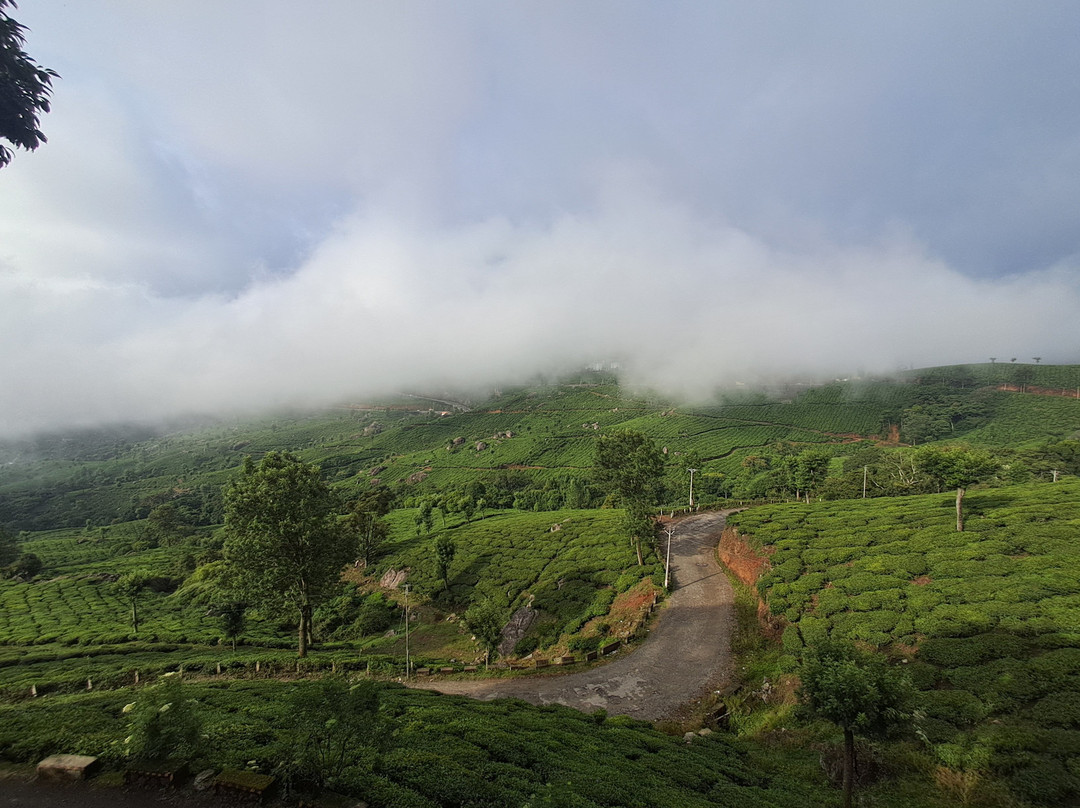 Club Mahindra Mount Serene, Munnar Resort主图