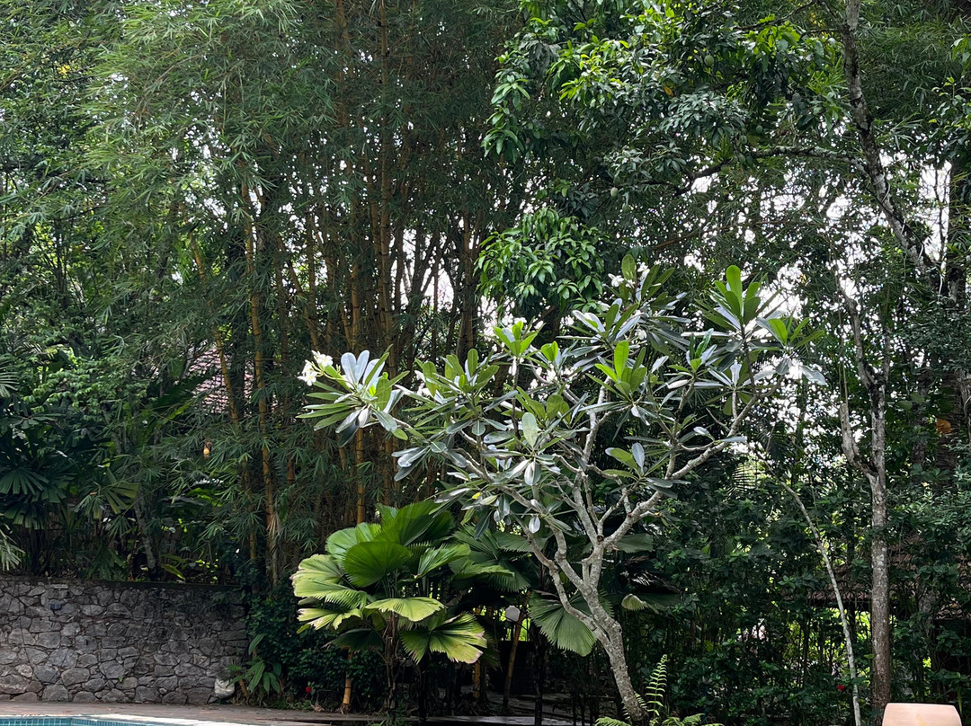 雨滴度假村主图