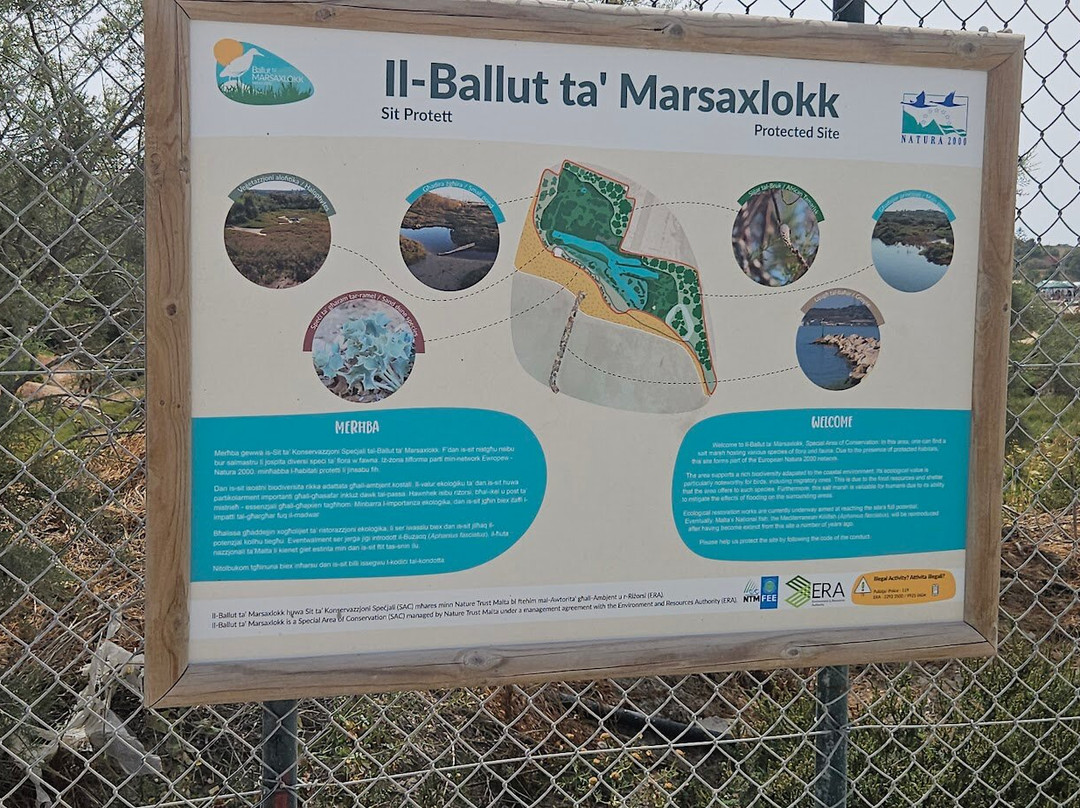 Ballut ta' Marsaxlokk