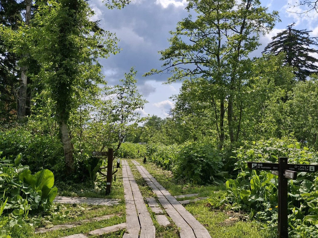 Yukomanbetsu Swamp-东川町必去景点