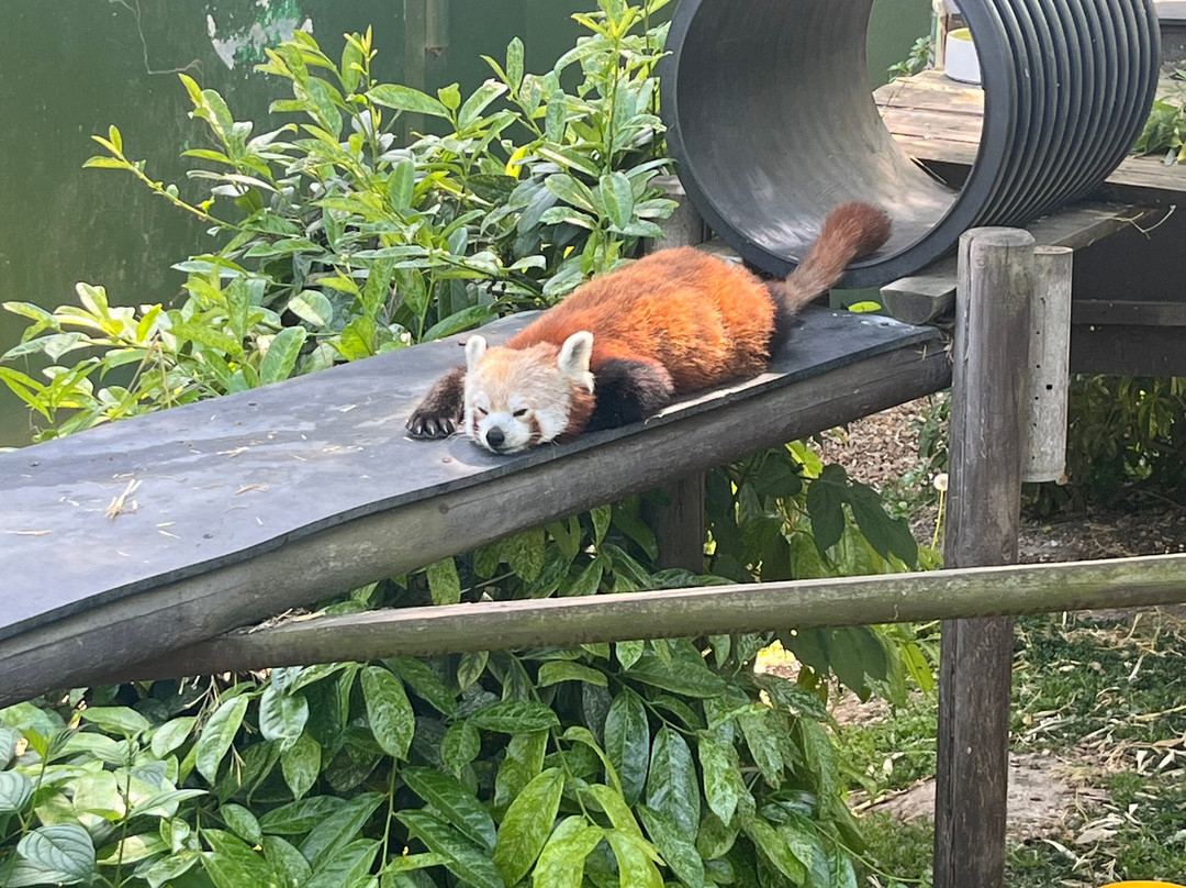Shepreth Wildlife Park-Shepreth必去景点