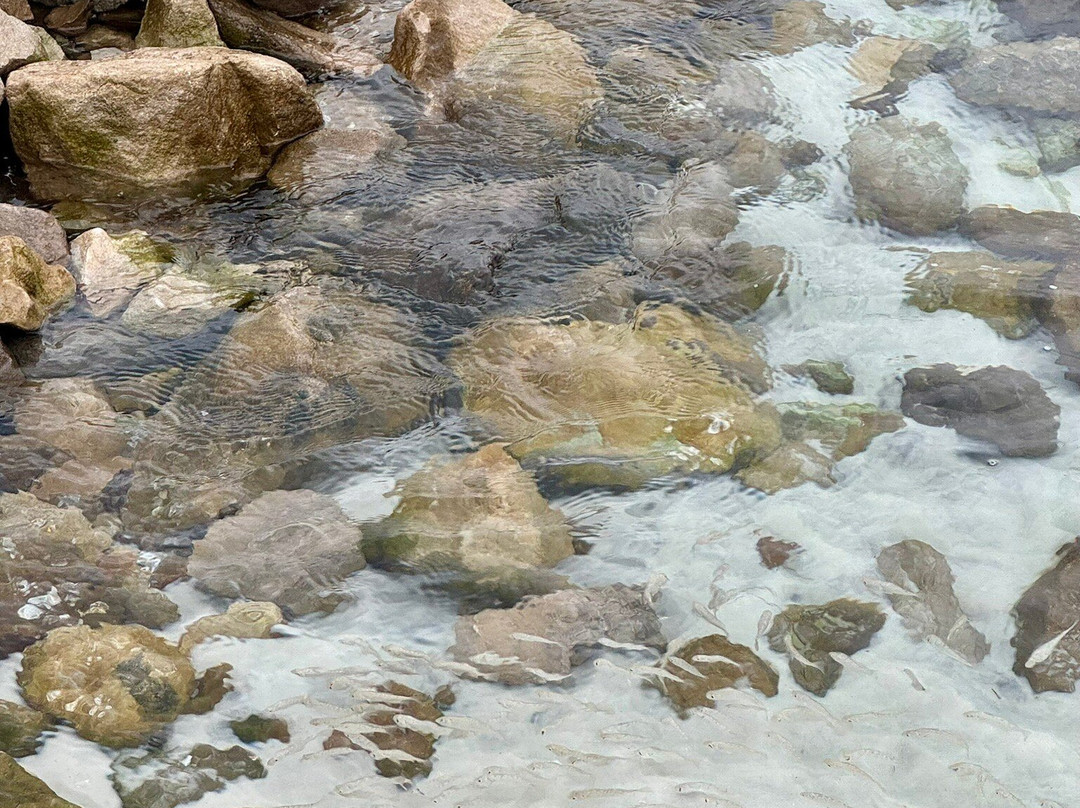 Norriego Point Beach Access And Park-德斯廷必去景点