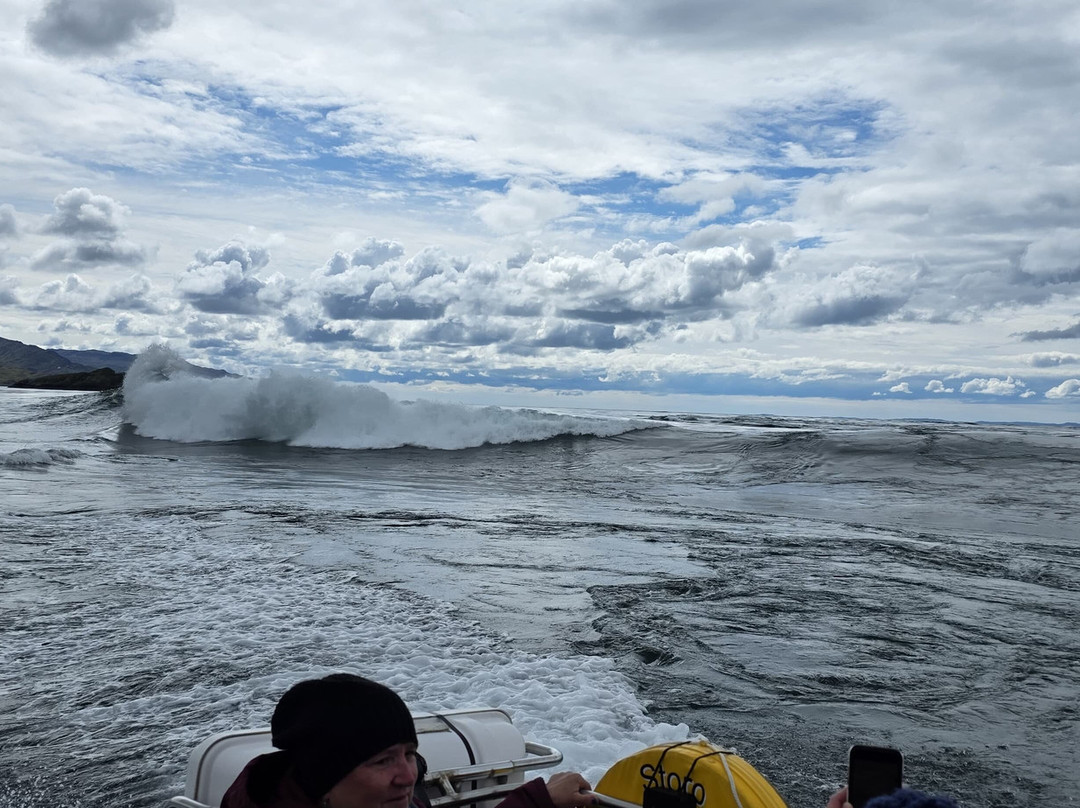 Islay Sea Adventures-Port Ellen必去景点