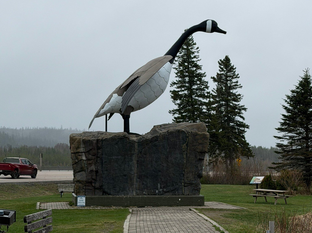 Wawa Goose Statue-Wawa必去景点