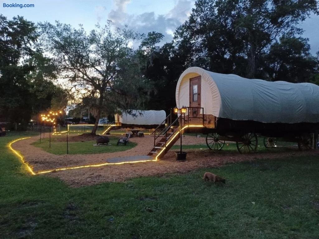 Highland Cow Glamping in a Cozy King Bed Wagon