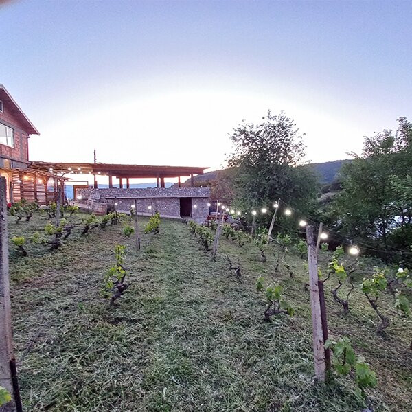 S&S Winery - Ohrid-奥赫里德必去景点