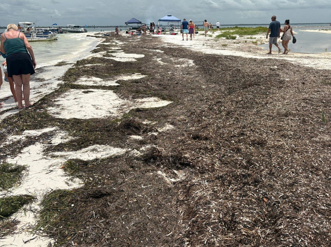 Anclote Key Preserve State Park-新里奇港必去景点