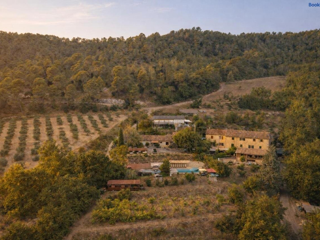 Domaine Lou Ami