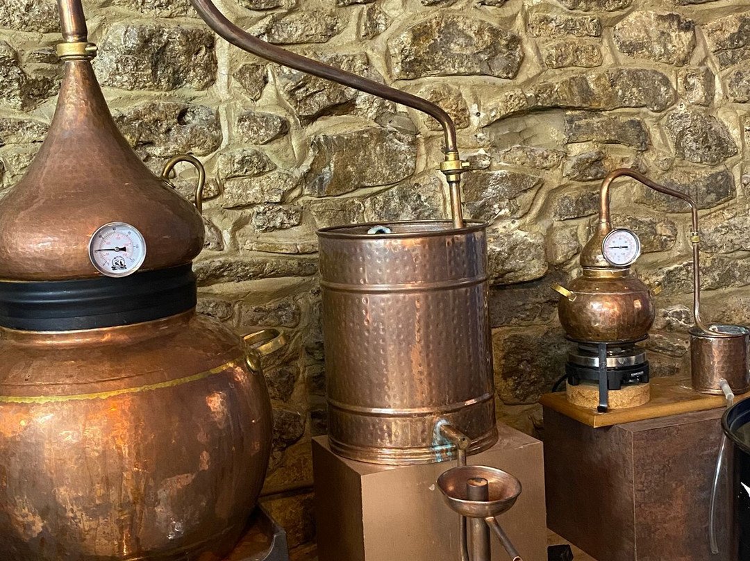 Abingdon Distillery-罗契斯特必去景点