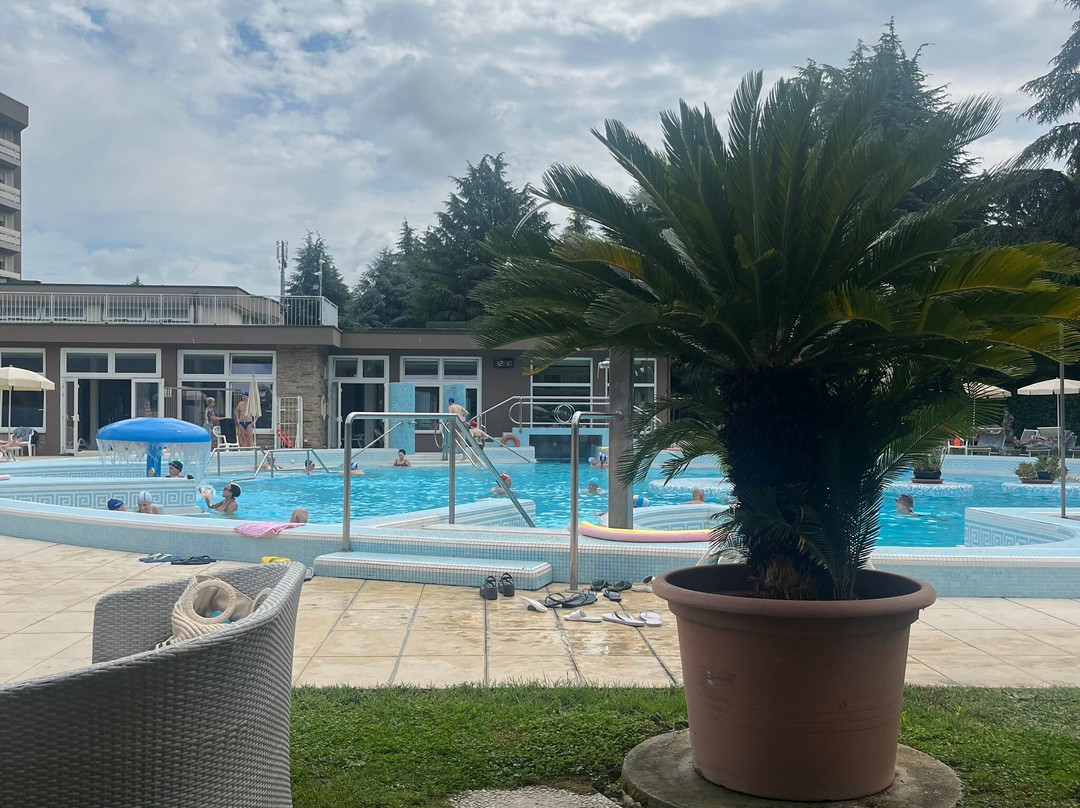 Continental Terme Hotel主图
