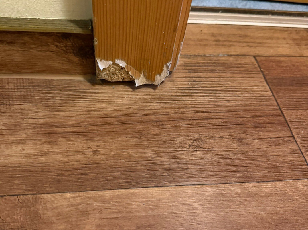 鲁贝萨赫鲍迪酒店主图