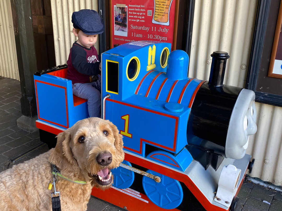 Welshpool and Llanfair Light Railway-Welshpool必去景点