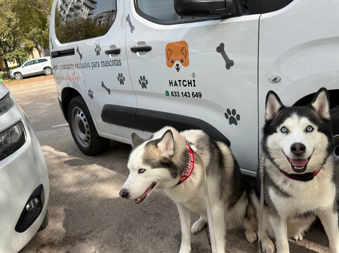 Hatchi - Transporte de mascotas
