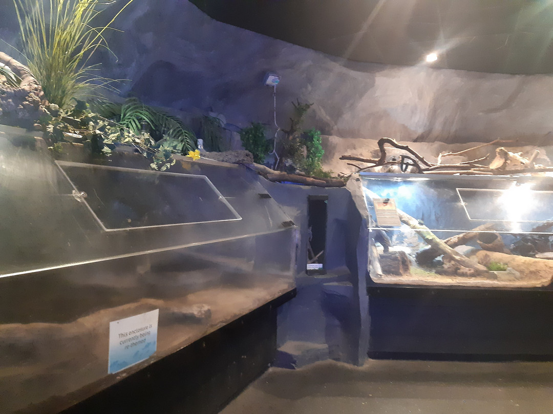 Lakes Aquarium-Newby Bridge必去景点