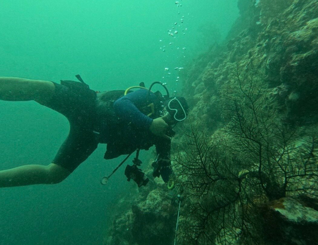 Bali Hai Diving Menjangan-班玉威当必去景点