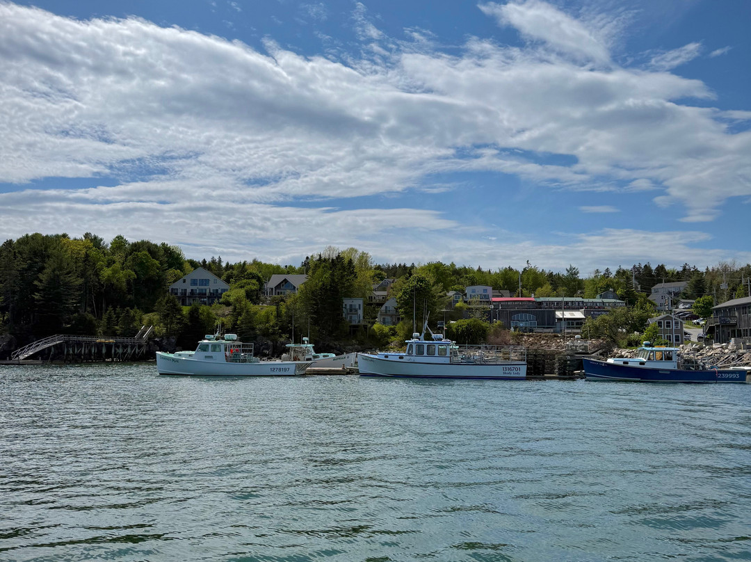 Sail Acadia-Southwest Harbor必去景点