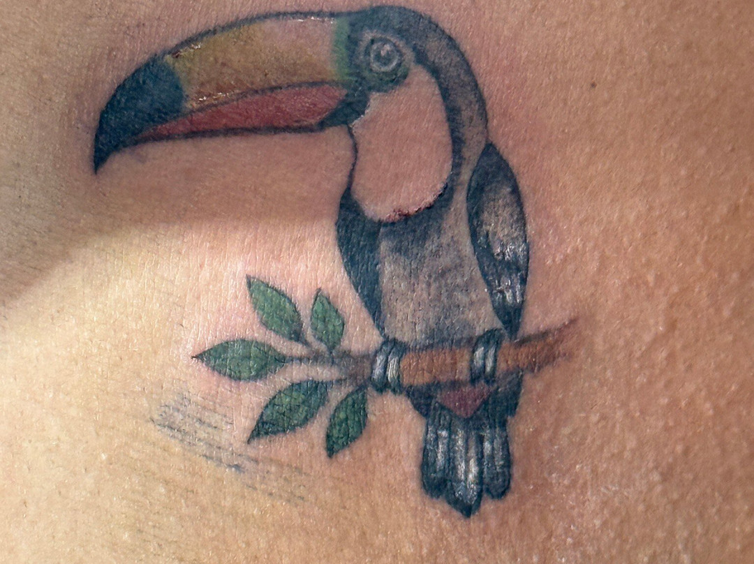 Monkey Tattoo Cr-克波斯必去景点