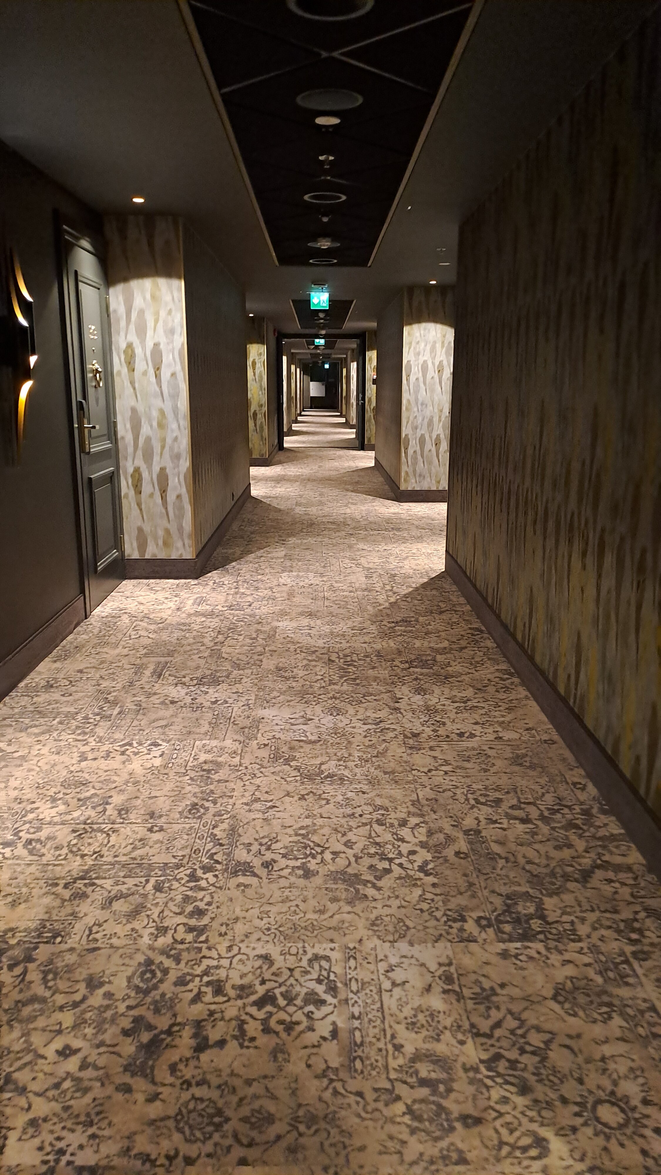 V温泉会议酒店-旅行者