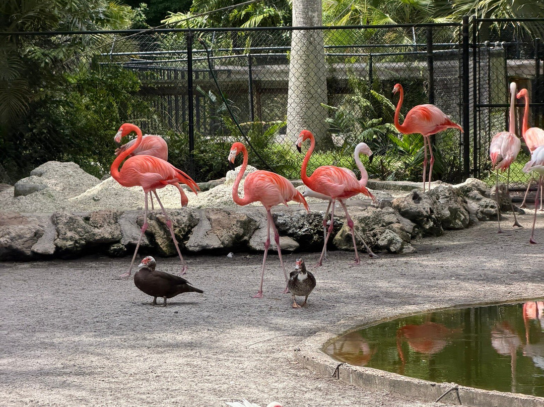 Flamingo Gardens-戴维必去景点