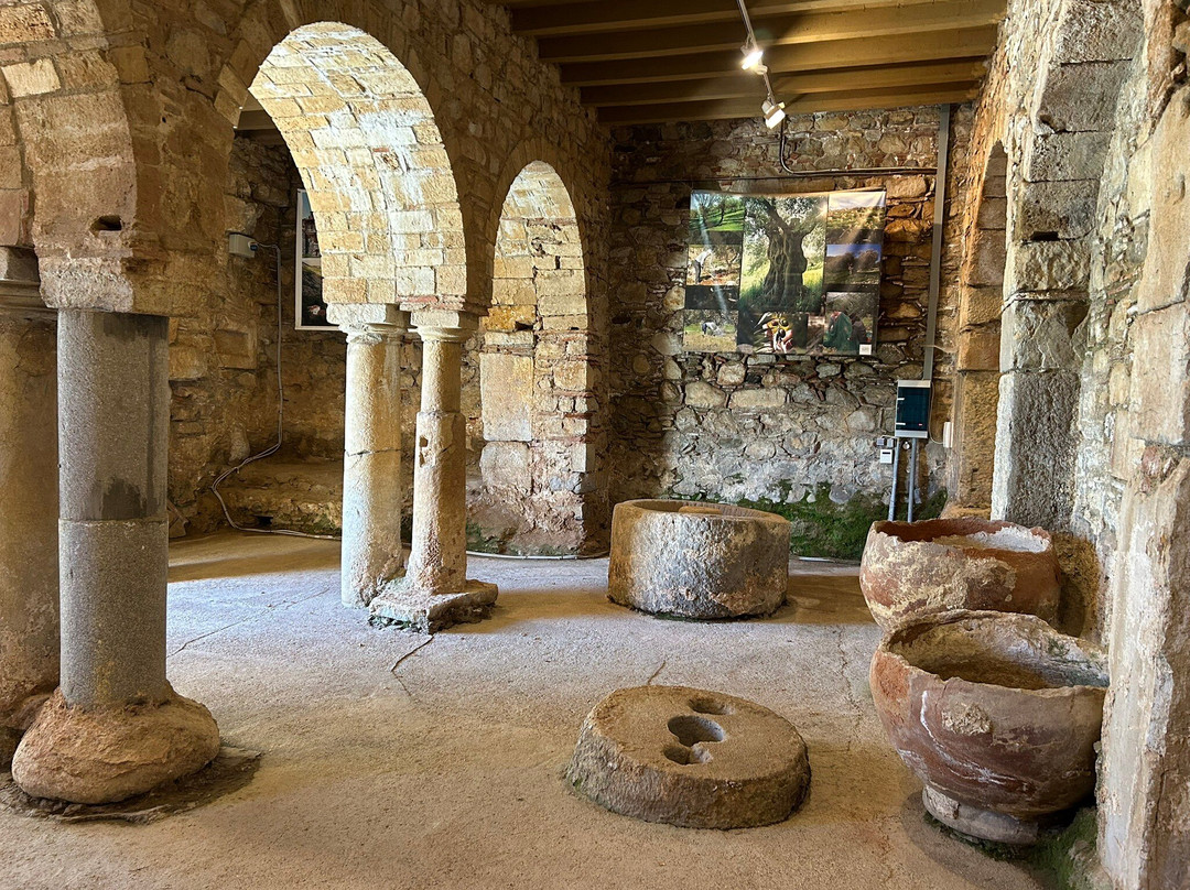 Monastery of Hosios Loukas-Distomo必去景点