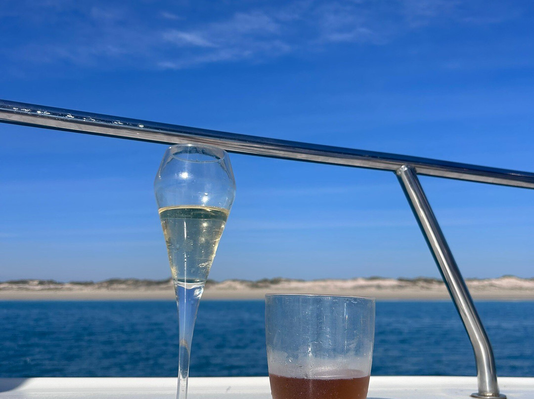 Broome Whale Watching-布鲁姆必去景点