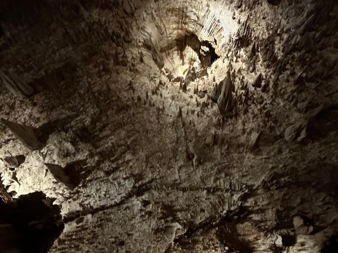 Carlsbad Caverns National Park Visitor Center-卡尔斯巴德洞穴国家公园必去景点