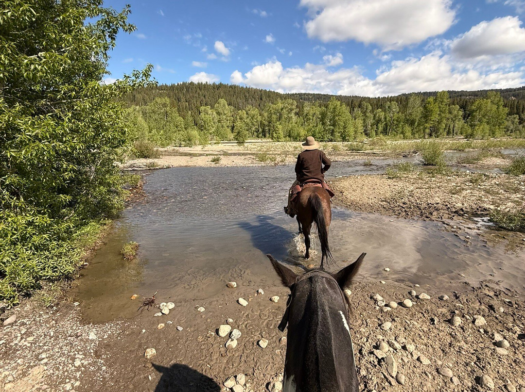 Swift Creek Outfitters & Teton Horseback Adventures-莫兰必去景点