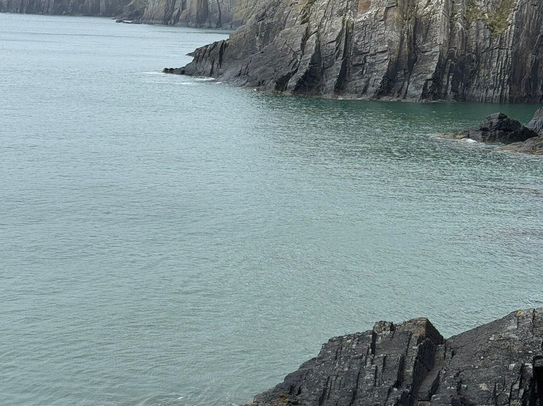 Cardigan Island Coastal Farm Park-Cardigan必去景点