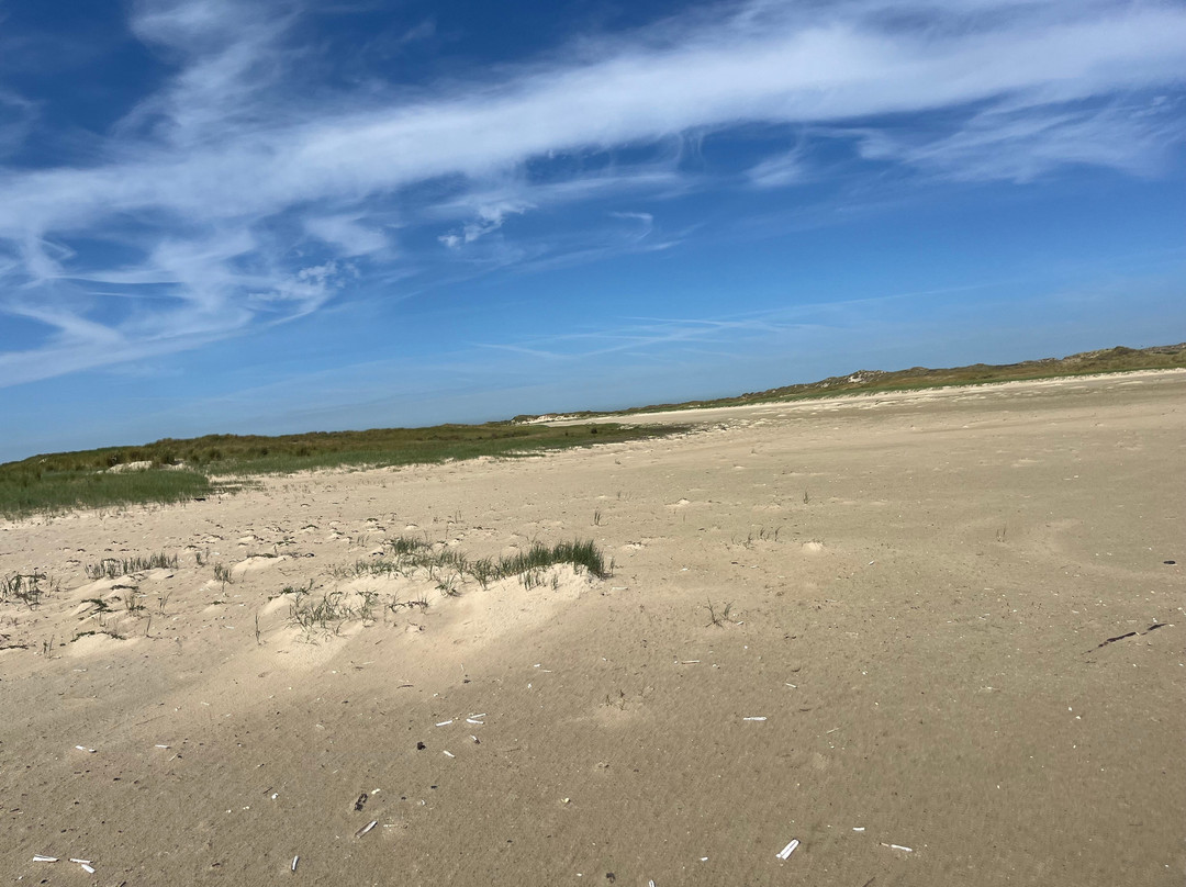Groene strand-West-Terschelling必去景点