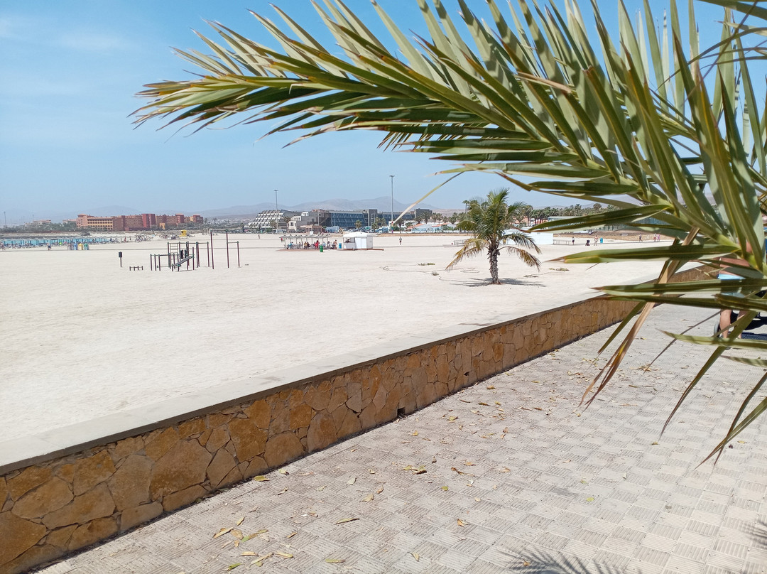 Caleta De Fuste Street Market