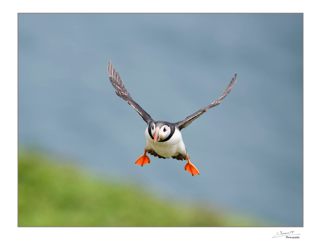 Drew Buckley Photography-Hundleton必去景点