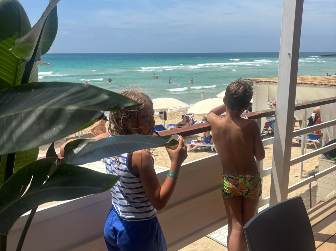 Costa del Salento - Cdshotels主图