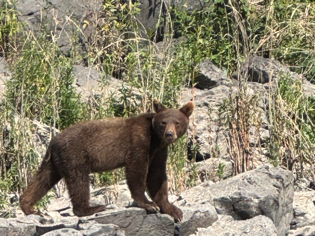 Beamers Hells Canyon Tours-Clarkston必去景点