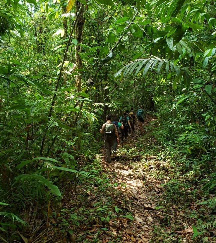 Costa Rica Wild Expeditions-希门尼斯港必去景点