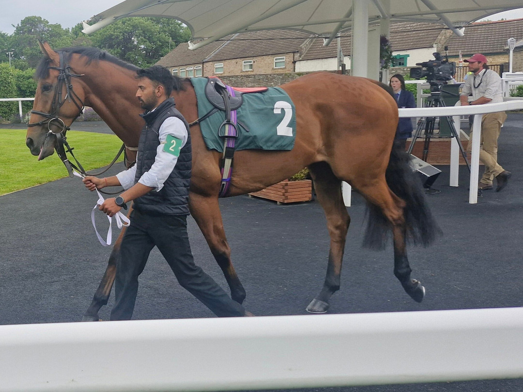 Catterick Racecourse-Catterick必去景点