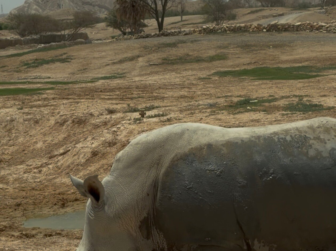 Al Ain Zoo 2017 2018 2019-艾因市必去景点