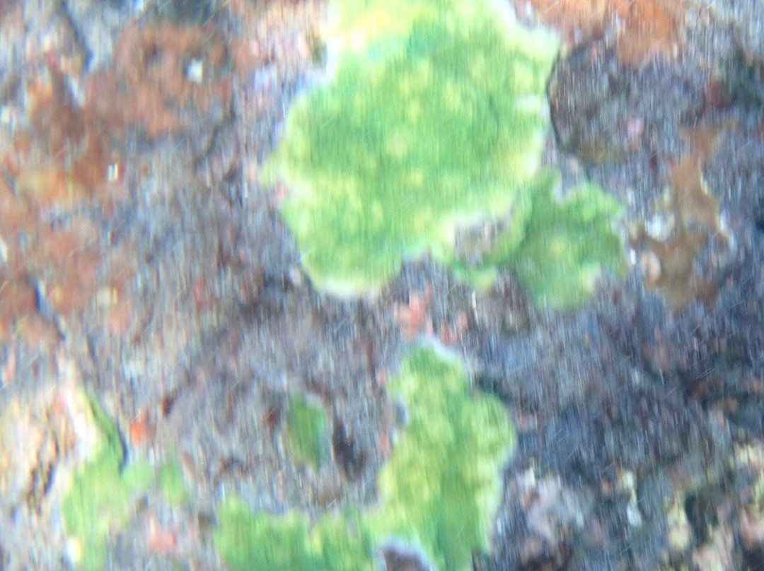 Crystal Bay-珀尼达岛必去景点