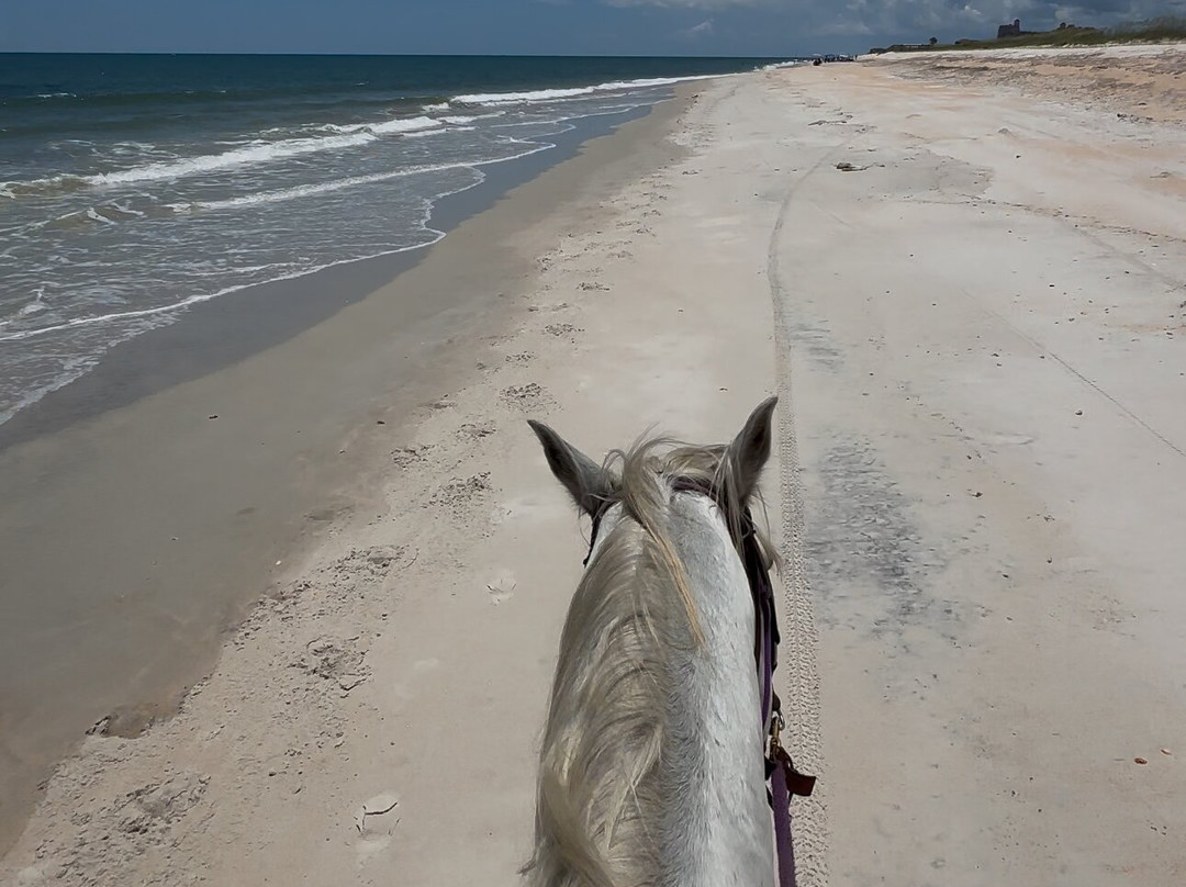Equestrian Adventures of Florida-代托纳比奇必去景点