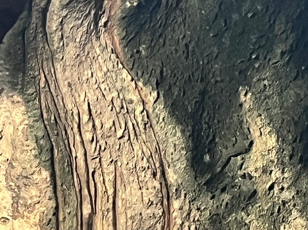 Hato Caves-威廉斯塔德必去景点