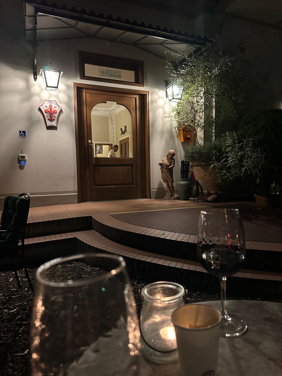 大卫酒店-旅行者