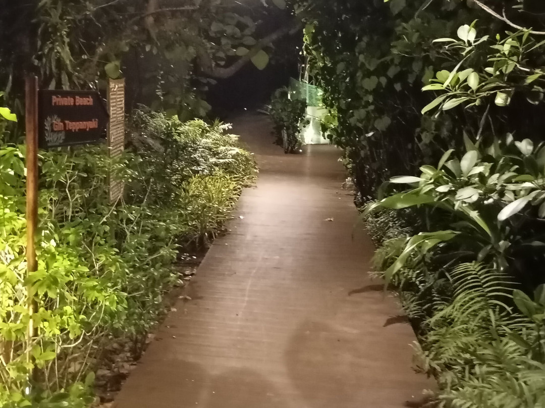 卡利马考拉海滨度假别墅酒店主图